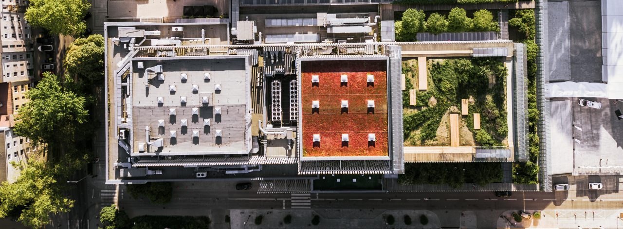 Dachbegrünungen bringen Lebensqualität und Klimaverbesserung © Adobe Stock/goami Dachbegrünungen bringen Lebensqualität und Klimaverbesserung